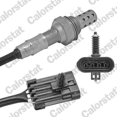 Oxygen Sensor